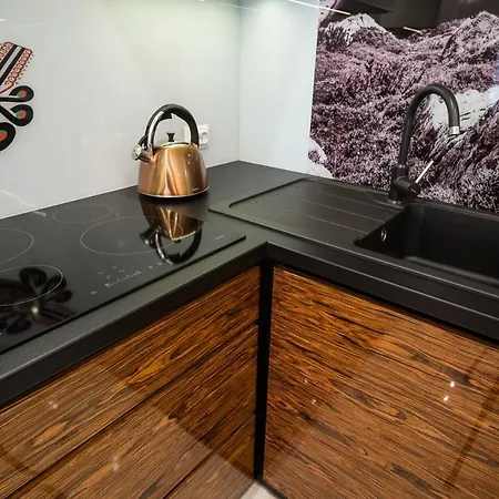 Apartament Vip Pod Krokwią Zakopane
